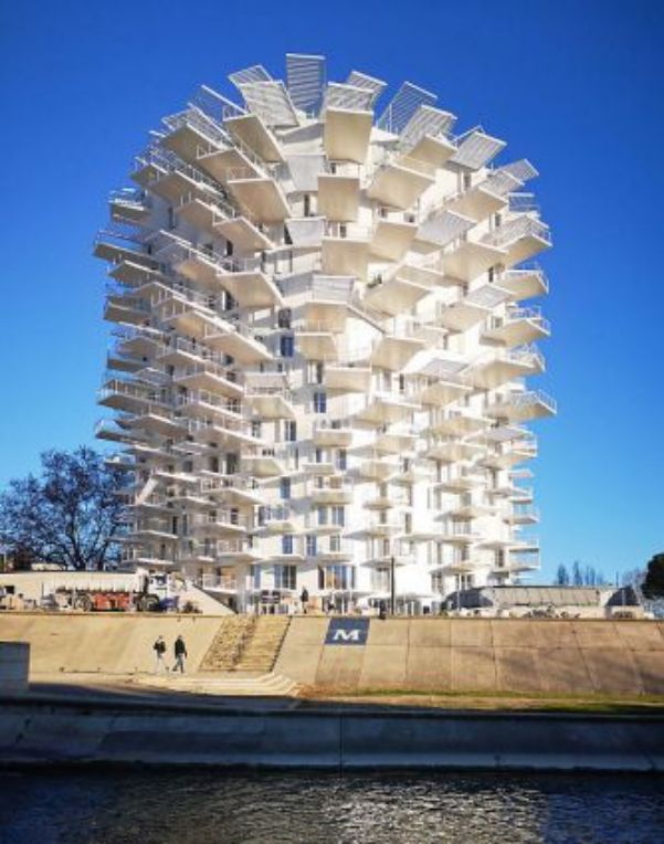 L'Arbre Blanc