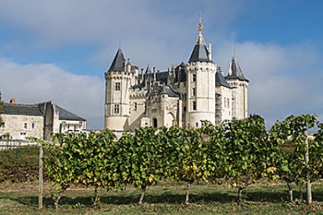 Anjou - Saumurois 2016